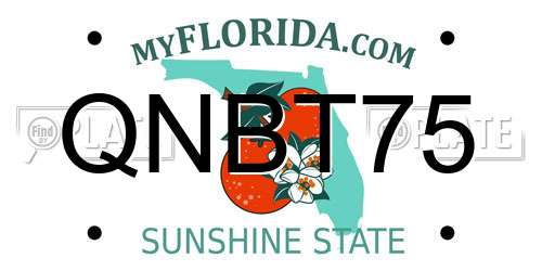 QNBT75 Florida License Plate