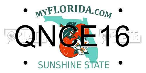 QNCE16 Florida License Plate