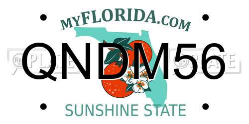 QNDM56 Florida License Plate