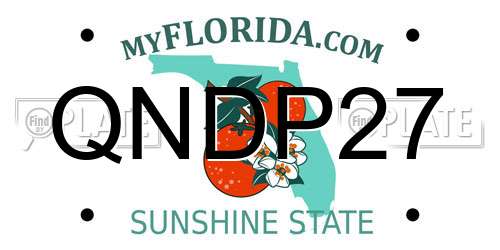 QNDP27 Florida License Plate