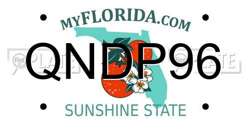 QNDP96 Florida License Plate