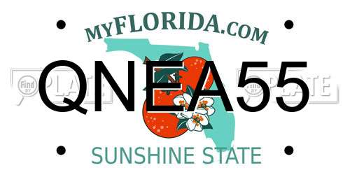 QNEA55 Florida License Plate