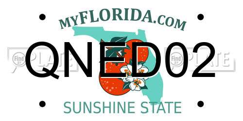 QNED02 Florida License Plate