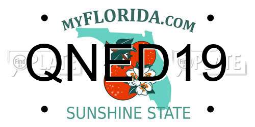 QNED19 Florida License Plate