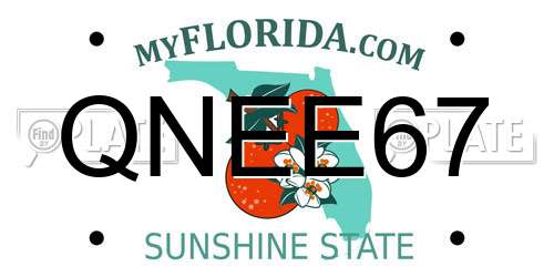 QNEE67 Florida License Plate