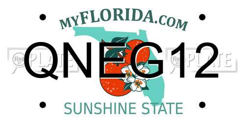QNEG12 Florida License Plate
