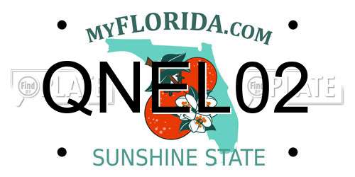 QNEL02 Florida License Plate