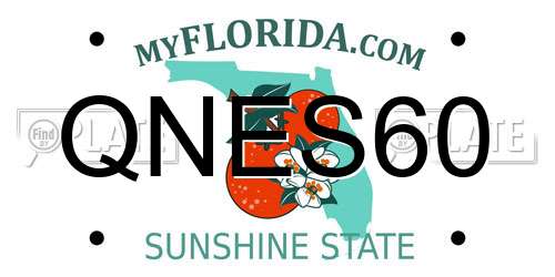 QNES60 Florida License Plate