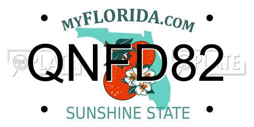 QNFD82 Florida License Plate
