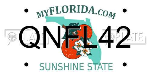 QNFL42 Florida License Plate