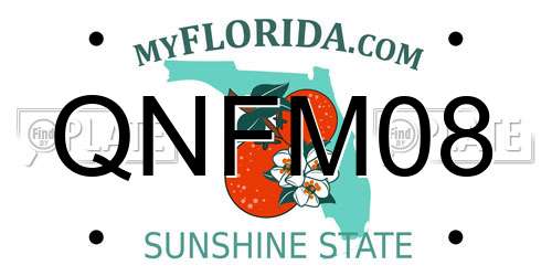 QNFM08 Florida License Plate