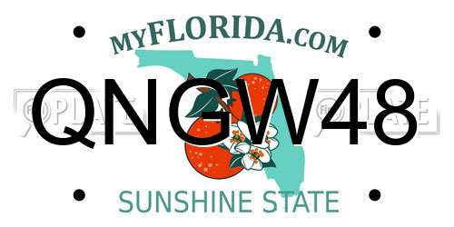 QNGW48 Florida License Plate