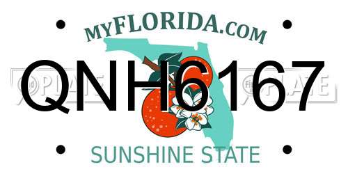 QNH6167 Florida License Plate