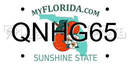 QNHG65 Florida License Plate