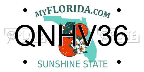 QNHV36 Florida License Plate