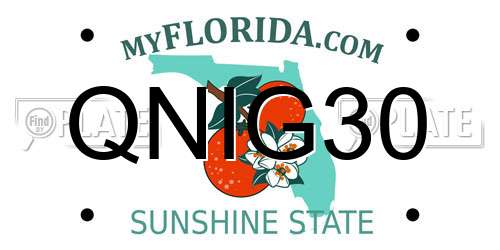 QNIG30 Florida License Plate