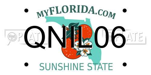 QNIL06 Florida License Plate