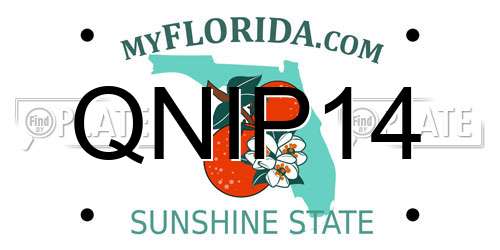 QNIP14 Florida License Plate