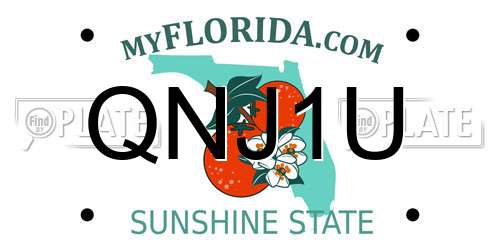 QNJ1U Florida License Plate
