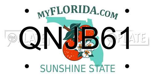 QNJB61 Florida License Plate