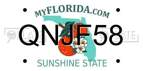 QNJF58 Florida License Plate