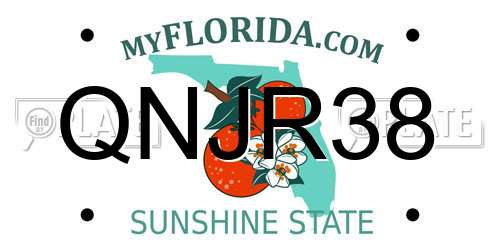 QNJR38 Florida License Plate