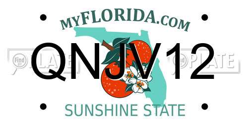 QNJV12 Florida License Plate