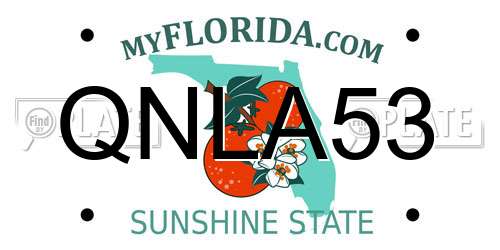 QNLA53 Florida License Plate