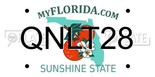 QNLT28 Florida License Plate