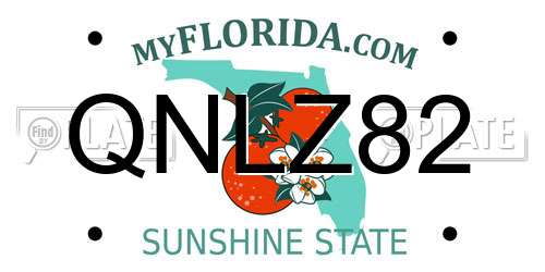 QNLZ82 Florida License Plate