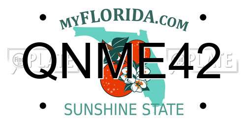 QNME42 Florida License Plate