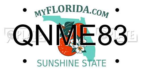 QNME83 Florida License Plate