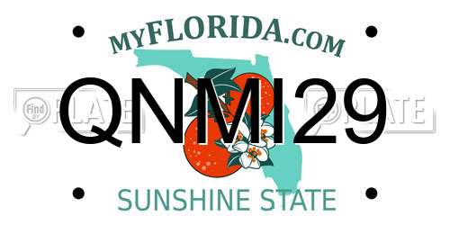 QNMI29 Florida License Plate