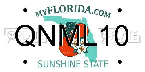 QNML10 Florida License Plate