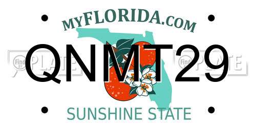 QNMT29 Florida License Plate
