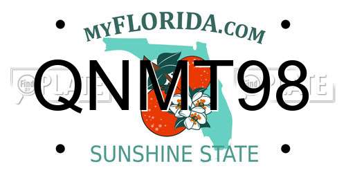 QNMT98 Florida License Plate