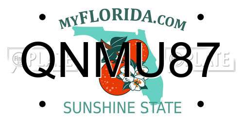 QNMU87 Florida License Plate