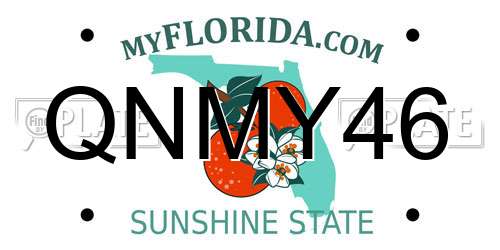 QNMY46 Florida License Plate