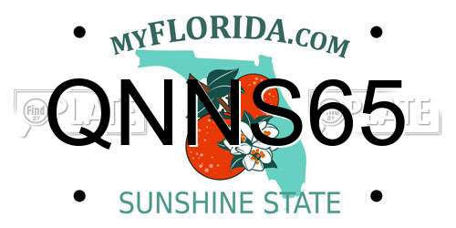QNNS65 Florida License Plate