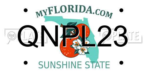 QNPL23 Florida License Plate