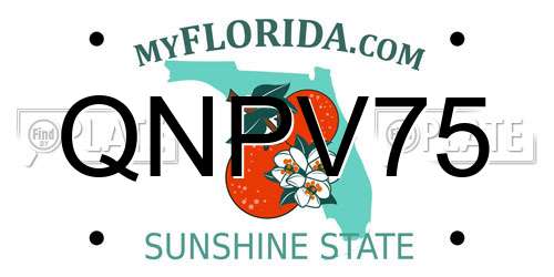 QNPV75 Florida License Plate