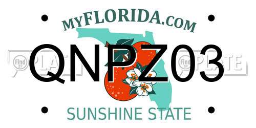 QNPZ03 Florida License Plate