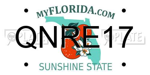 QNRE17 Florida License Plate