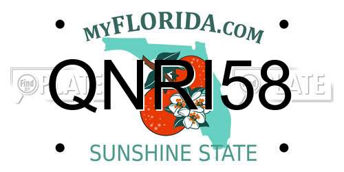 QNRI58 Florida License Plate