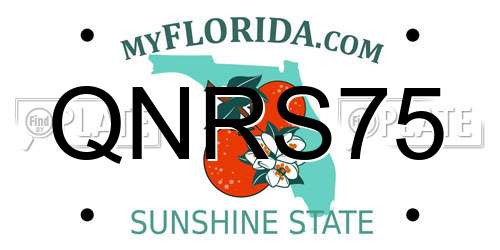 QNRS75 Florida License Plate