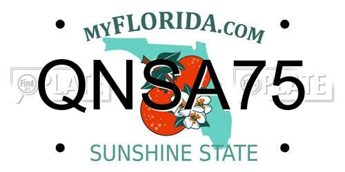 QNSA75 Florida License Plate