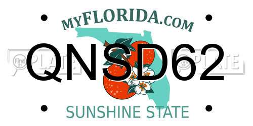 QNSD62 Florida License Plate