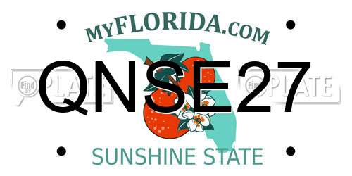 QNSE27 Florida License Plate