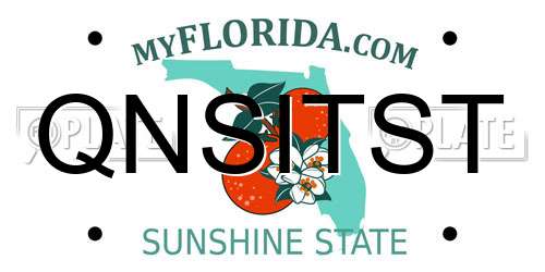 QNSITST Florida License Plate