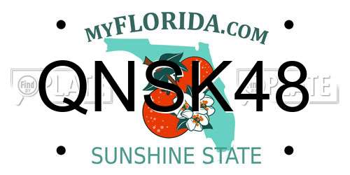 QNSK48 Florida License Plate